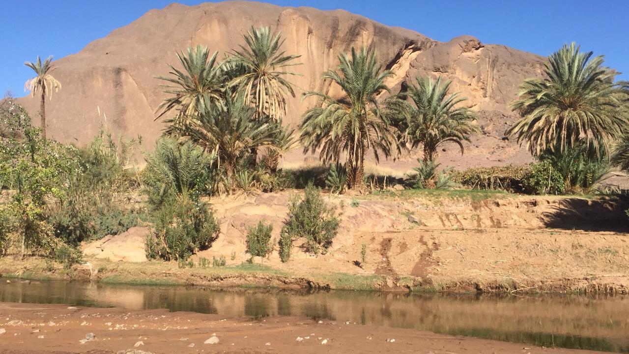 oasis