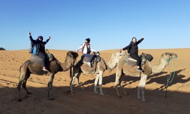 camel ride
