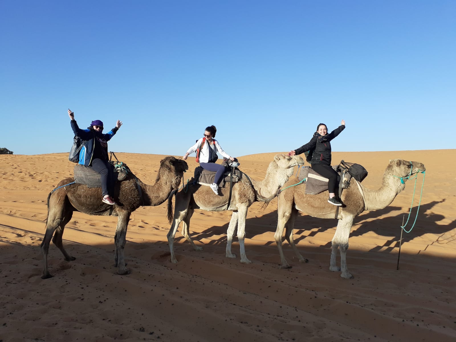 camel ride